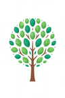 Canopy & Root Tree Company logo