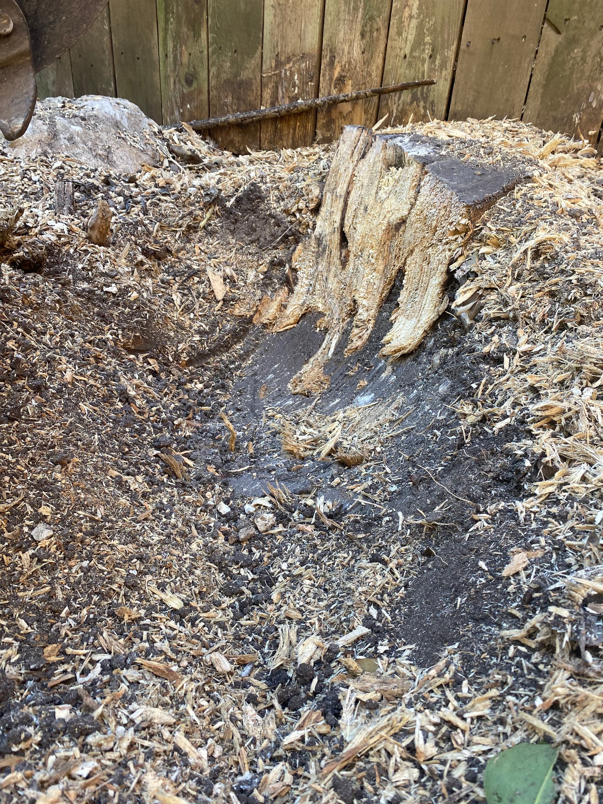 Stump grinding cleanup photo